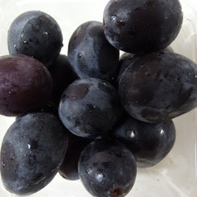 葡萄じゃないよ、でかすぎblueberry