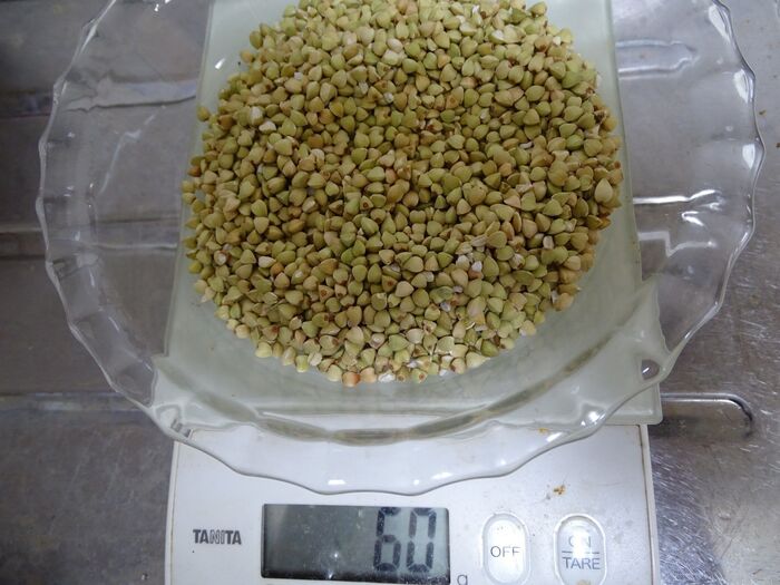 蕎麦の実