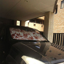 車中の暑さ対策★横窓用カーテンとサンシェード