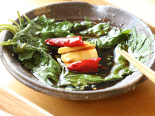 大量消費!大葉のしょうゆ漬け