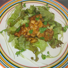 【試してみた】鶏むね肉の酸っぱ焼き。