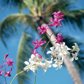 【8月の肌占い】お肌のタイプと血液型から占います!