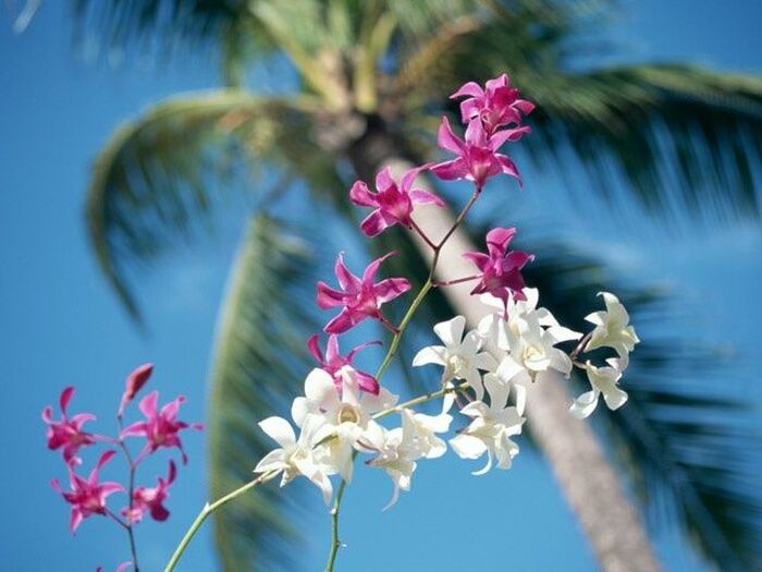 【8月の肌占い】お肌のタイプと血液型から占います!