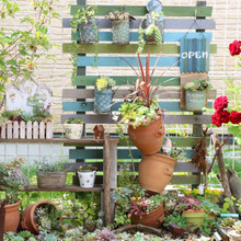 手作りいっぱいの多肉ガーデン*2018