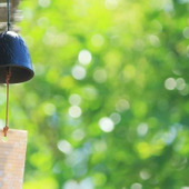 節電&節約で夏を乗り切る! 冷房に頼りすぎずに涼しく過ごすコツ