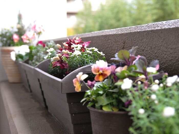 牛乳パックがベランダの排水口の溝掃除にぴったり!