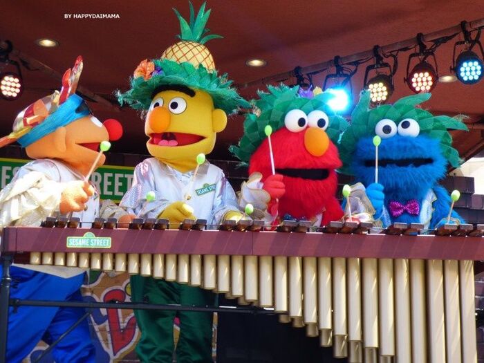 セサミストリートのみんなの演奏に感激!