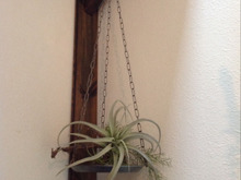 100均x4つでオシャレなカフェ風♪ハンギングトレイdiy!