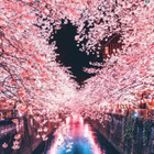 土方那智