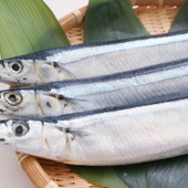 さんまを味わいつくそう!選び方のポイントとアレンジレシピいろいろ