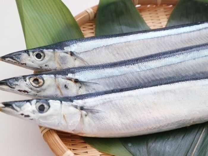 さんまを味わいつくそう!選び方のポイントとアレンジレシピいろいろ