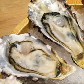 生食用と加熱用ではどう違う?上手な牡蠣の選び方と保存方法