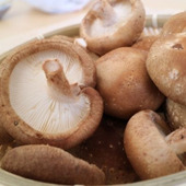 かさの裏側をチェック!新鮮なしいたけの選び方とベストな保存方法