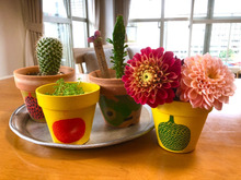 ダイソー竹製ポット×マリメッコ