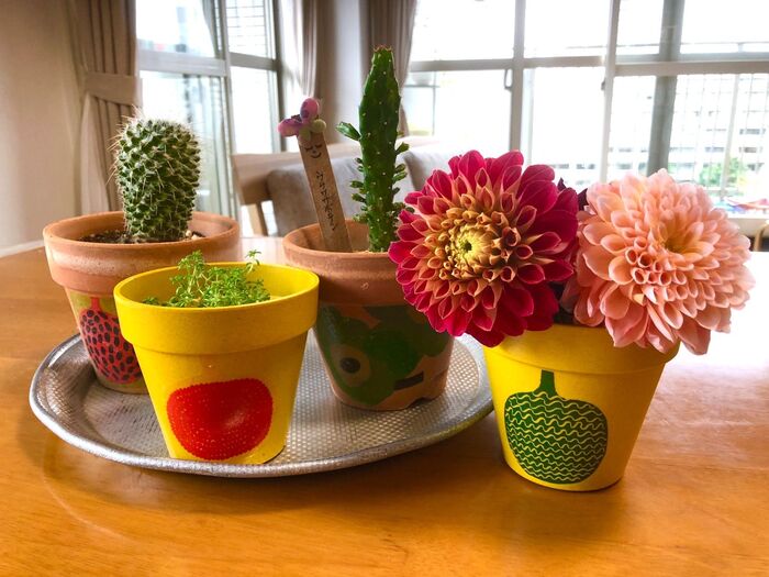 ダイソー竹製ポット×マリメッコ