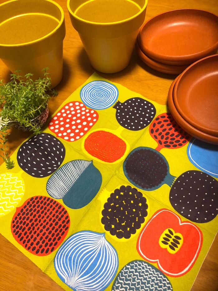 ダイソーの竹製ポット