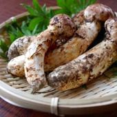香りと鮮度が命!美味しいまつたけの選び方と上手に保存するコツ