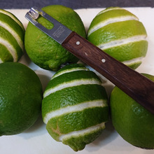 ライムと遊びまくる・・・・