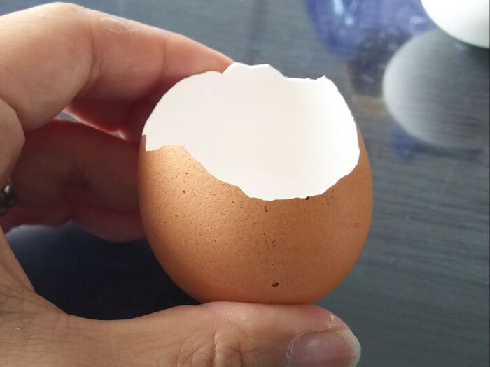 茶色の卵の殻も使ってみました。