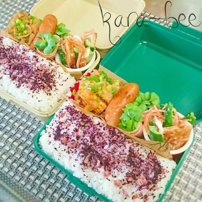 母とムスコのラブラブおソロ弁当にも♪