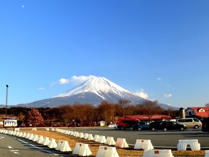 7割が家族でもっとドライブに行きたい!「子育て世帯のカーライフ実態調査」