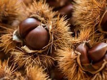 簡単で超スピーディ!調理の時短におすすめの栗のむき方