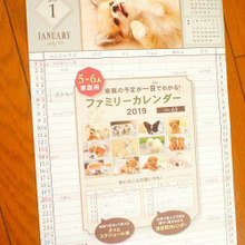 実用的!家族で共有できる100均フレッツのファミリーカレンダー