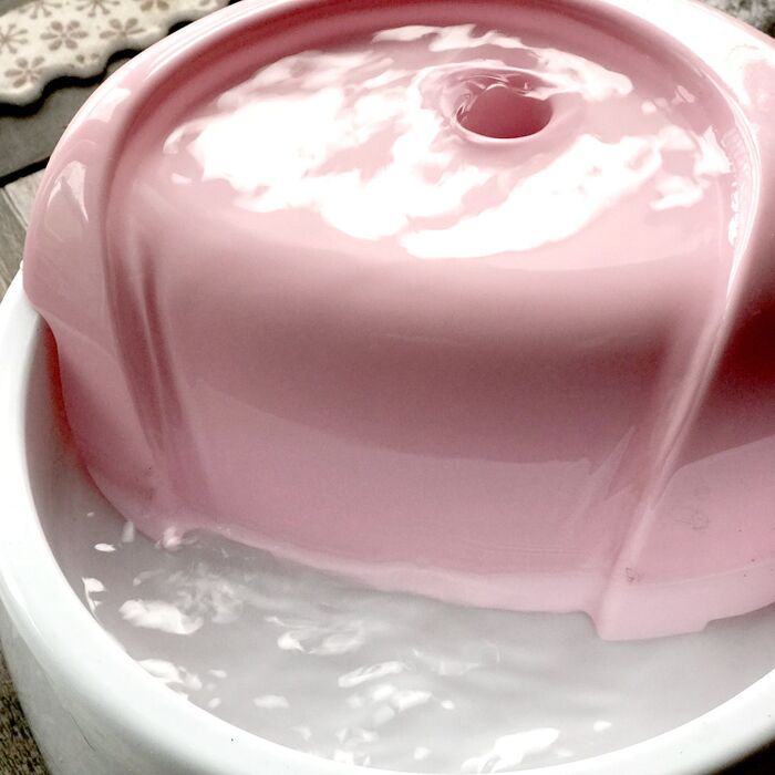 ペット用♥いつでも綺麗なお水が飲める♥フィルター式給水器