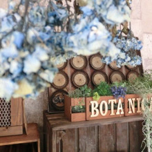 【100均すのこDIY】シンデレラフィットのグリーン?プランターボックス!