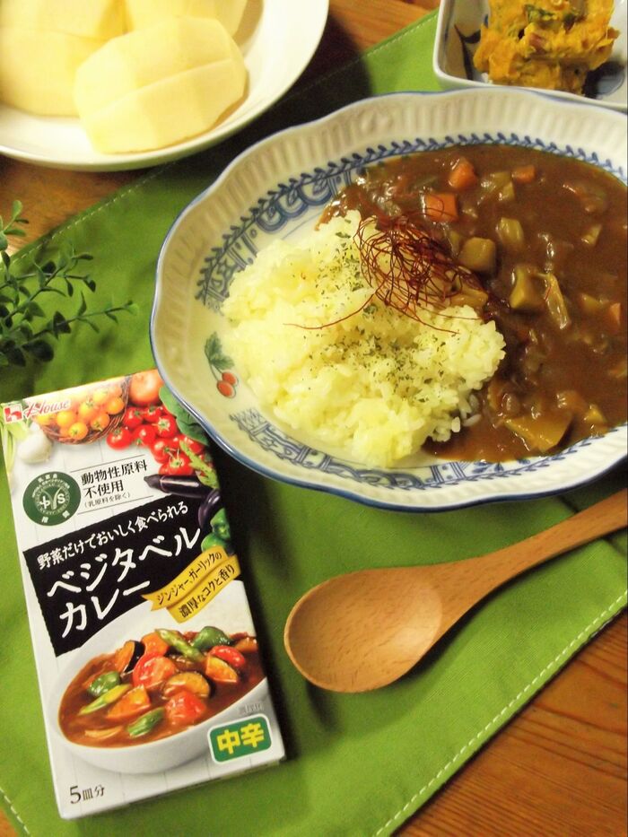 ホントに野菜だけで大満足!動物性原料不使用 ベジタベルカレー
