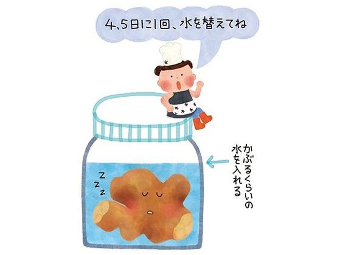 気づくとしなびている根しょうがの保存方法
