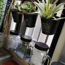 洗面所の窓に挟むだけ!グリーンを取り入れよう