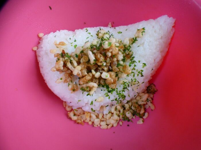 ご飯に入れて