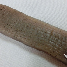 こんにゃくの味しみしみ溝はフォーク1本で!