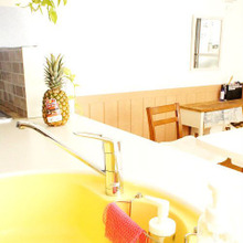 ダイソーの衛生的で泡立ちバツグン★キッチンあみたわし