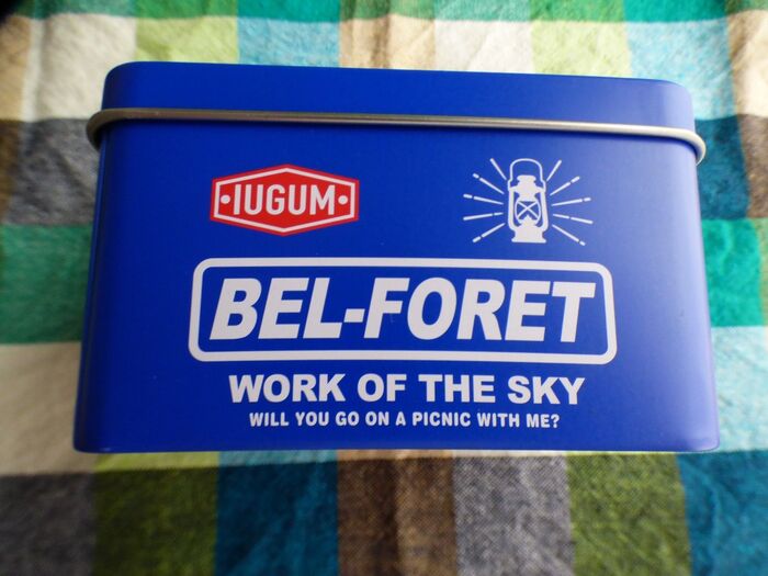 【セリア】ブリキ缶に3男が毎日使う○○を収納!