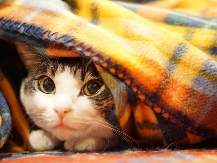 ①ぽかぽかお部屋グッズ