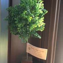 フェイクグリーンのホントにプチなインテリア