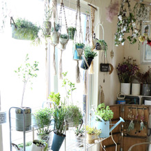 マニアック?!雪国タニラーの冬越し情報