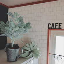 100均 ダイソーのフェイクで観葉植物風グリーンの作り方