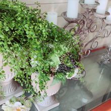 西欧風リビング✳︎大胆に取り入れるのが◎フェイクグリーン