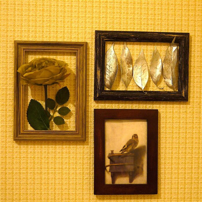 フォトフレームとグリーンの組み合わせは無限大!