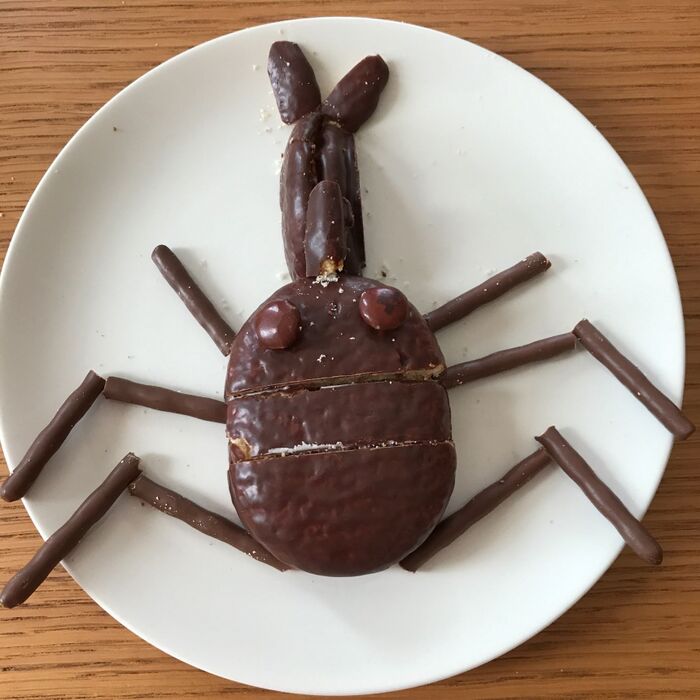 【おまけ】カブトムシもできる!?