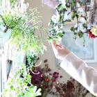 前田亜沙美