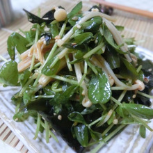 あっという間に美味しい♪ 豆苗とエノキとワカメの中華サラダ