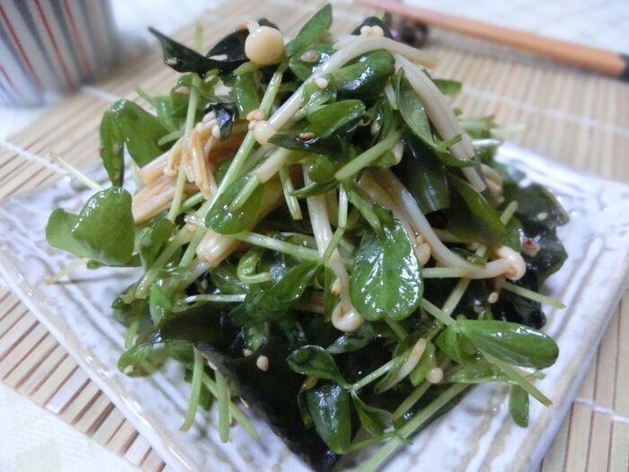 あっという間に美味しい♪ 豆苗とエノキとワカメの中華サラダ
