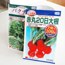 12月からのキッチン菜園★ダイソー ラディッシュ 赤丸20日大根