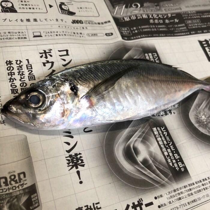 ①さばけない方は、お店の方に!