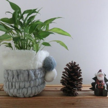 【セリアリメイク】観葉植物の寒さ対策?!100均グッズでグリーン?ポットカバーも冬支度♪