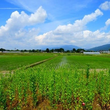 これ気になる!やってみたい!「ふるさと納税」の始めかた